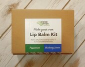 DIY Lip Balm Kit - 24 Lip Balms - Peppermint Blueberry Lemon - Biodegradable Compostable Packaging