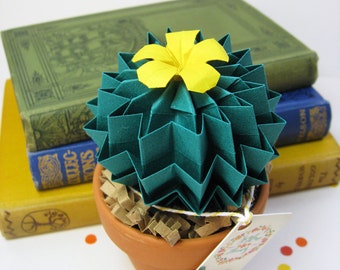 Cactus Succulent Paper Indoor Terracotta Plant - Mum Birthday Gift - House Plant Lover Gift - Colourful Stay Home Decoration