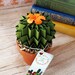 see more listings in the Blossom Cacti section