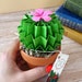 see more listings in the Blossom Cacti section