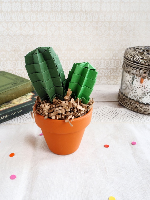 peruvianus kaktus Cereus peruvianus 'Florida' (Fairycastle/ Tower Cactus) – Dream Green