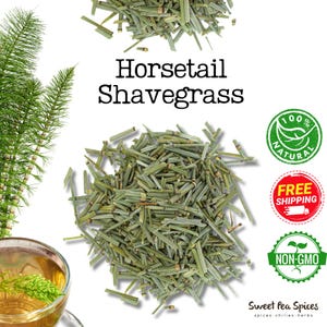 Shavegrass - Bulk - Cola de Caballo Planta - Horsetail - Equisetum arvense  -Scouring Rush - Field Horsetail - Toadpipe - Dutch Rushes