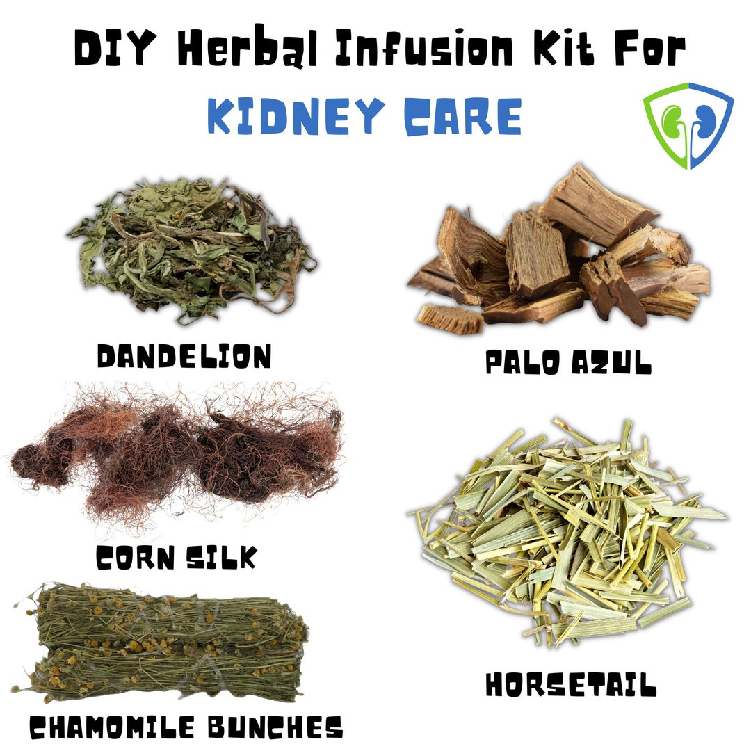 Kidney DIY Herbal Tea Kit Make Your Own Tea Blends Organic Herbs W/ Tea Bags Stonebreaker Kidney