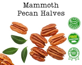 Pecan Halves Fancy Mammoth Pawnee  - Bulk Pecans - Shelled Pecans - Vegan - Great for Baking - Keto-Friendly - Fresh Large Pecan Halves