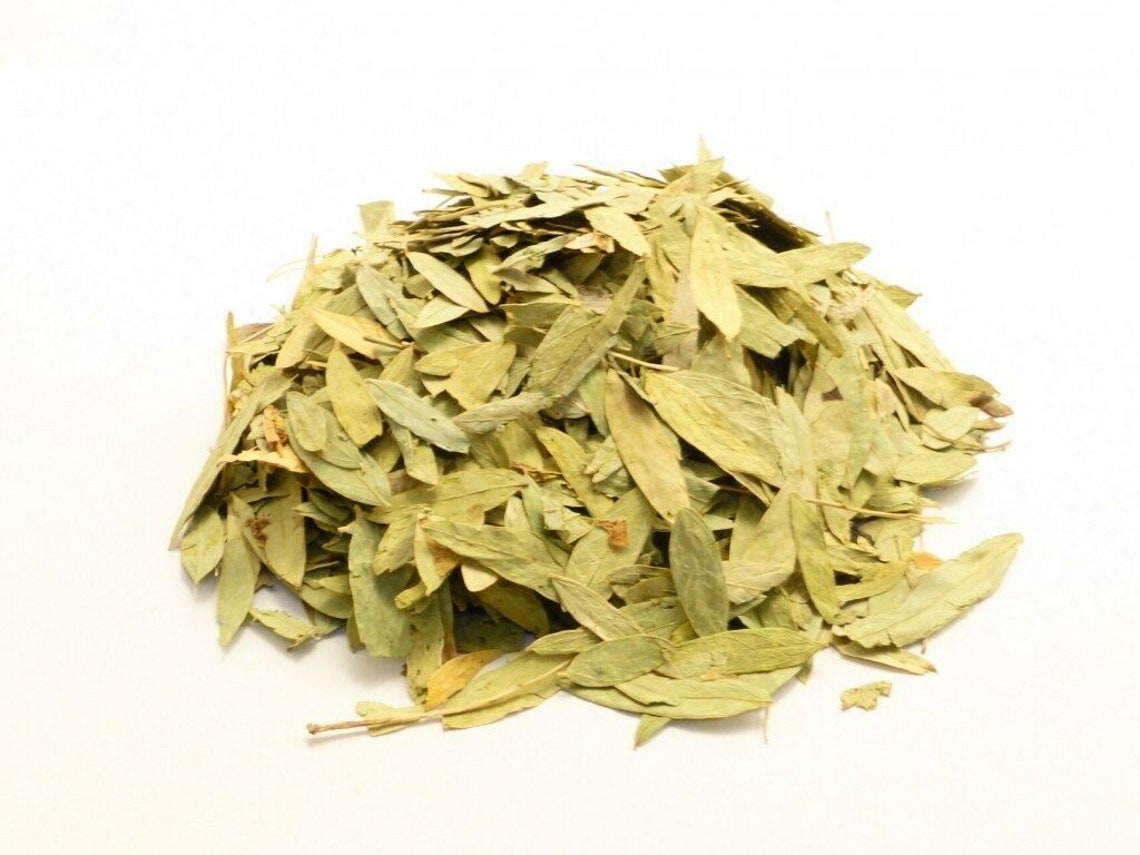 Senna Leaf Tamaños a granel Hojas De Sen Cut & Tamizado Etsy España