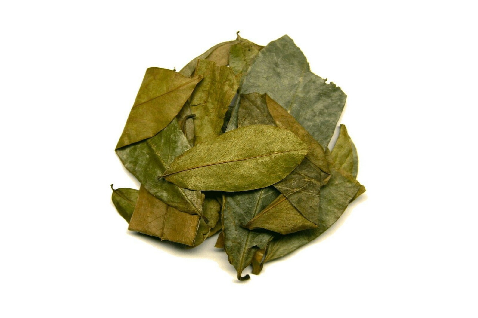 Guanabana Leaves Bulk Sizes Hojas De Guanabana Soursop Etsy
