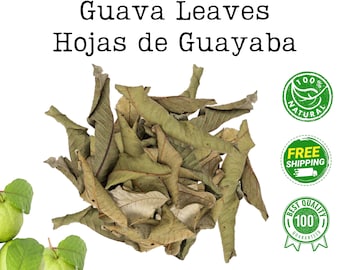Guava Dried Whole Leaves - Guava Leaf Tea - Hojas de Guayaba Secas -Bulk- Loose Guava Leaf Tea