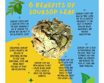 Omura Dried Soursop Leaves - 100% Organic Soursop Graviola Guanabana Leaves