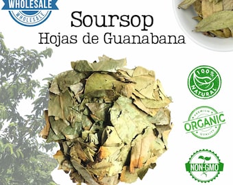 Soursop Leaves – Hoja de Guanabana | Organic Dried Graviola Leaves | Bulk Tea Leaves