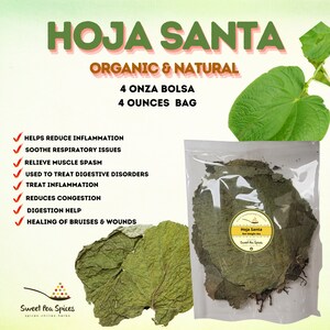 Yerba Santa -Root beer leaf- holy leaf- Piper auritum - Hoja Santa- Mexican pepper leaf - 4oz Hoja Santa