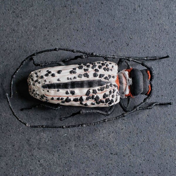 black-white  beetle, textil art, insect, Soft sculptur,home decor, unique design, eco friedly,fabric beetle