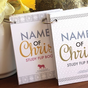 May include: Two white study flip books with gold lettering that reads "NAME OF Christ" and "NAMES OF Christ". The books are bound with silver rings and have a decorative pattern on the cover.