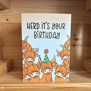 Kudde, het is je verjaardagskaart / grappige verjaardagskaart / woordspelingkaart / highland coo-kaart