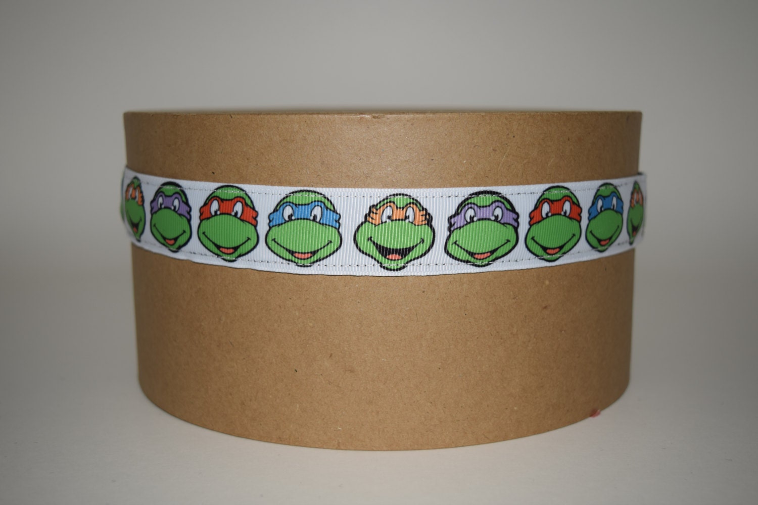 Teenage Mutant Ninja Turtles Headband Colors