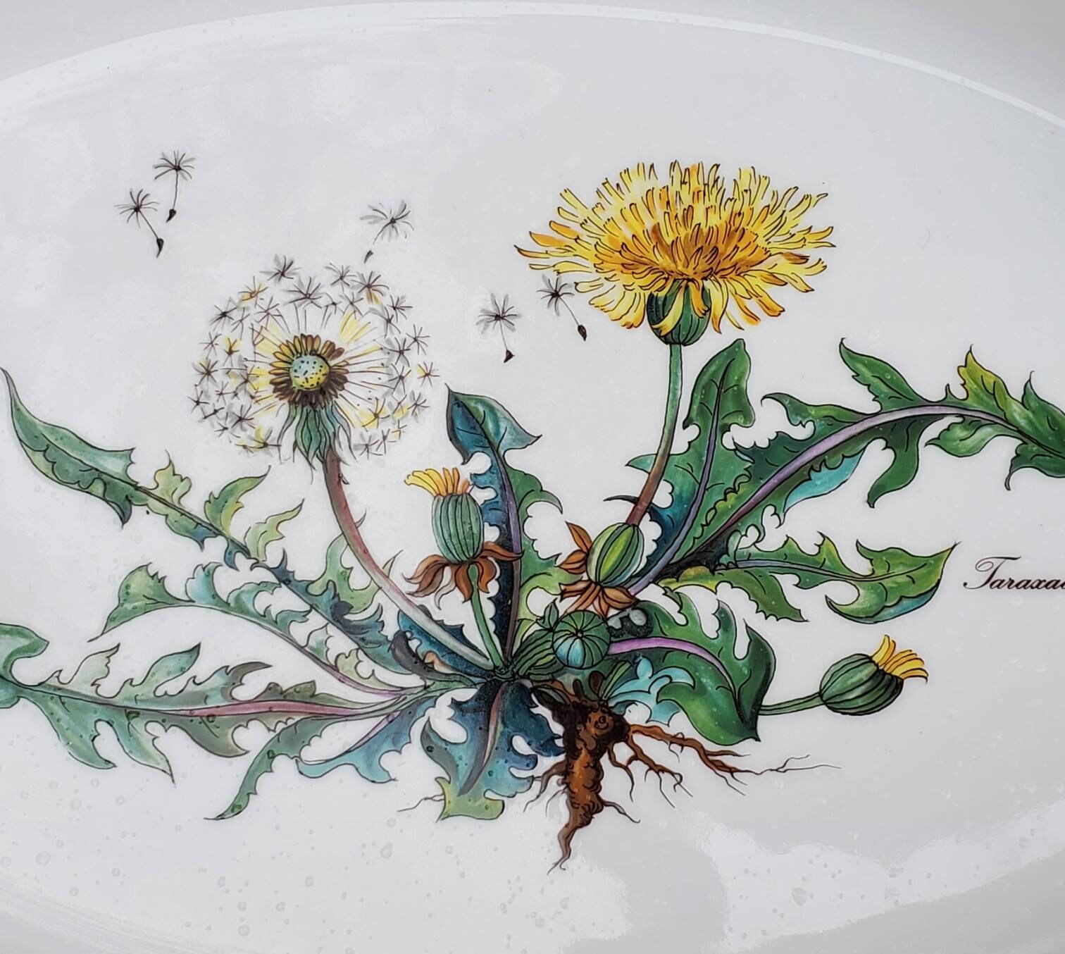 Villeroy & Boch Botanica Ofen auf Tisch Auflaufschale große | Etsy