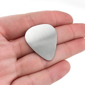 May include: A silver guitar pick with a smooth, brushed finish.