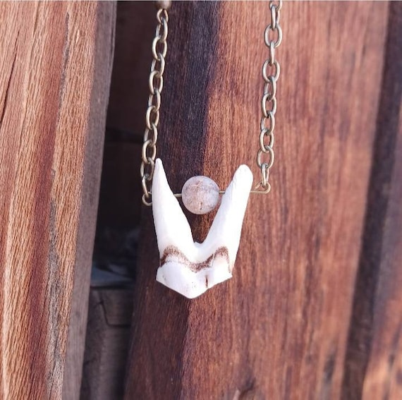 Cow tooth necklace best sale