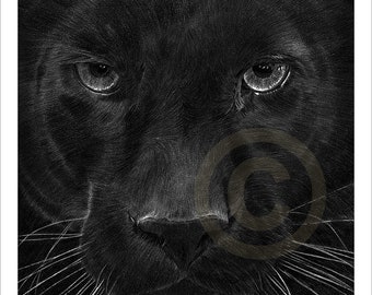 big cat art etsy