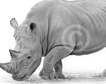 Rhino Pencil Drawing – Wildlife Art Print, Animal Portrait (Digital Download)
