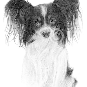 パグ - 色鉛筆画プリント - 犬のイラスト - アーティスト Gary Tymon