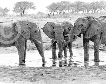 アフリカアート　ゾウ【画家 サイン入り】 アフリカアート ゾウ【画家 サイン入り】 アフリカアート ゾウ