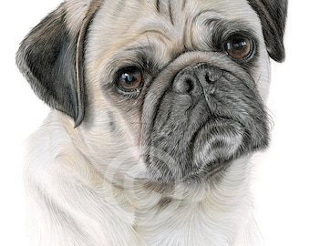 りんねです。色鉛筆画　パグ　犬の絵 りんねです。色鉛筆画 犬の絵 パグ りんね様専用です。色鉛筆画