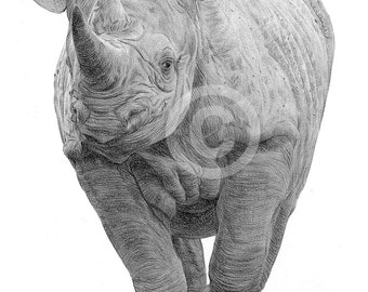 Rhino pencil drawing print | artwork signed by artist Gary Tymon | 2 sizes | wildlife portrait watercolor sketch wall art for home African