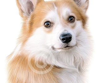 ウェルシュ・コーギー犬の色鉛筆画プリント：2サイズ