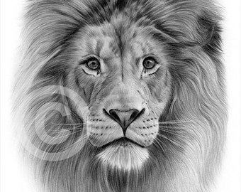lion pencil art etsy