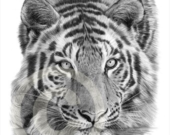 big cat art etsy