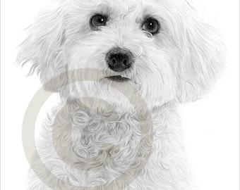 gary tymon etsy