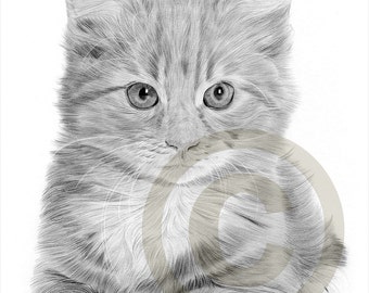 siamese cat art pencil