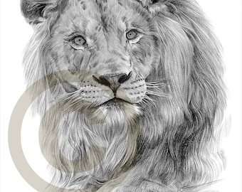 big cat art etsy