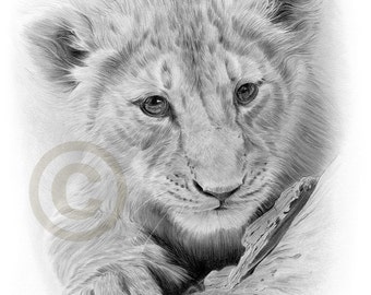 lion pencil art etsy