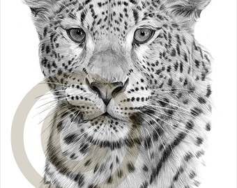 big cat art etsy