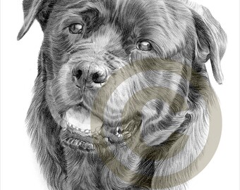 pencil portrait etsy