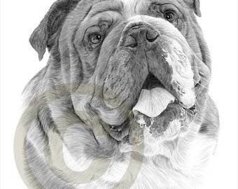 pencil portrait etsy
