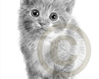 kitten cat art pencil