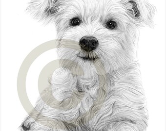 gary tymon etsy