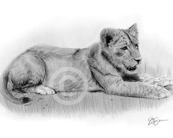 lion pencil art etsy