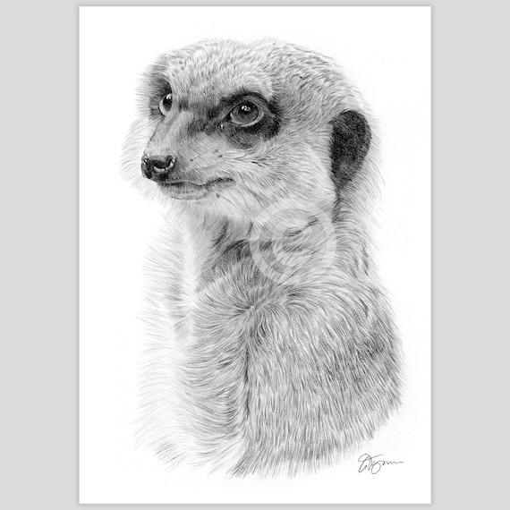 Handmade Crochet: Tymon the Meerkat Handmade Crochet: Tymon the Meerkat