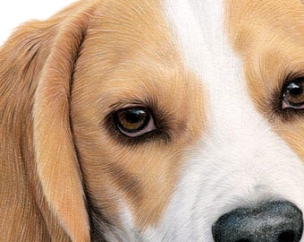アーティストGary Tymonによるサイン入りビーグル犬のアートワーク