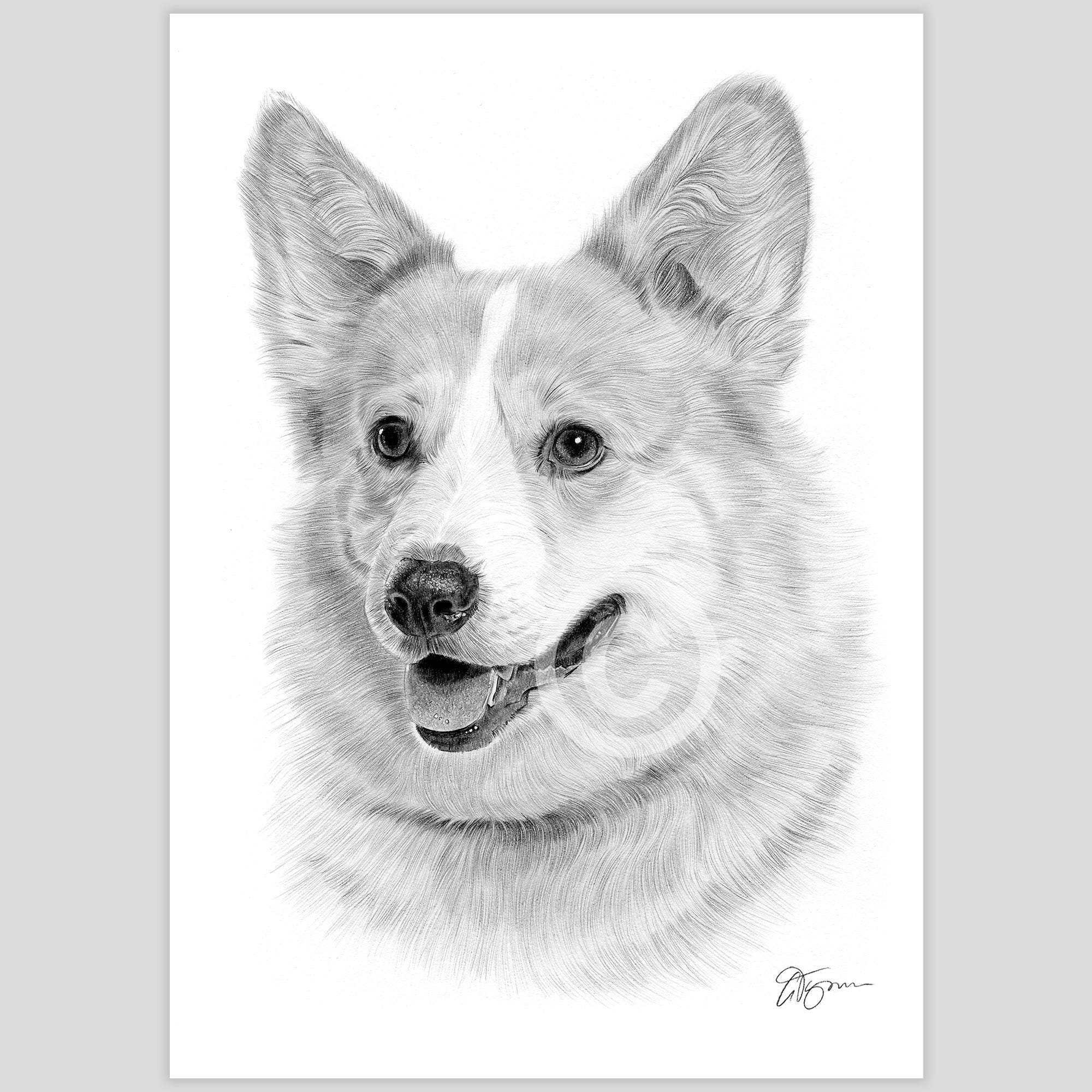 コーギー ウェルシュコーギー 犬 犬の絵 原画 絵画 鉛筆画
