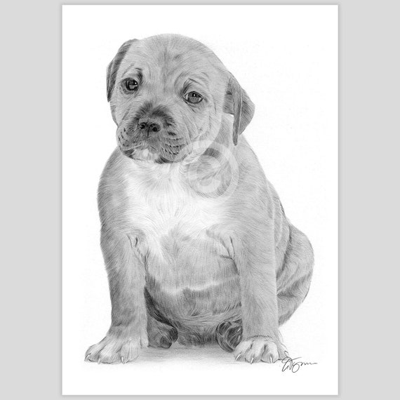 Staffie Puppy Umbrella - White Staffie Puppy Umbrella - White
