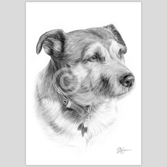 パターデール・テリアのアートワーク、鉛筆画プリント - アーティスト