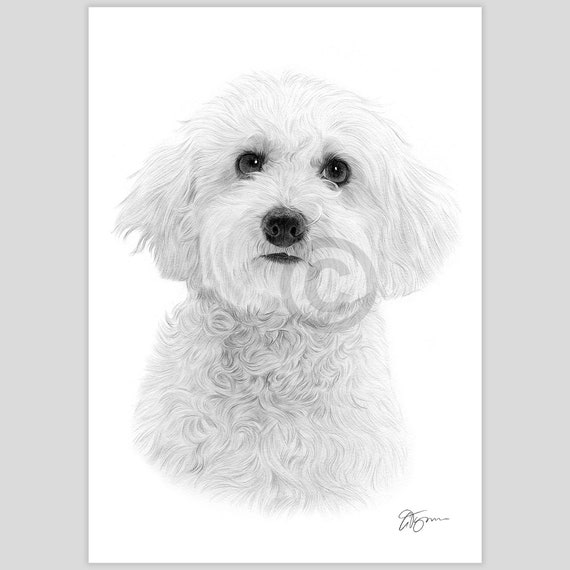Bichon Umbrella - Grey Semi Auto Bichon Umbrella - Grey Semi Auto