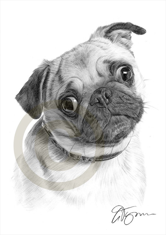 Pug Impresion De Dibujo A Lapiz Obra De Arte Firmada Por Etsy