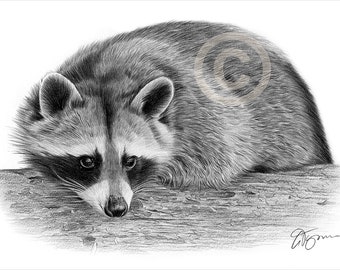 Animal Drawings - Etsy UK Animal Drawings - Etsy UK