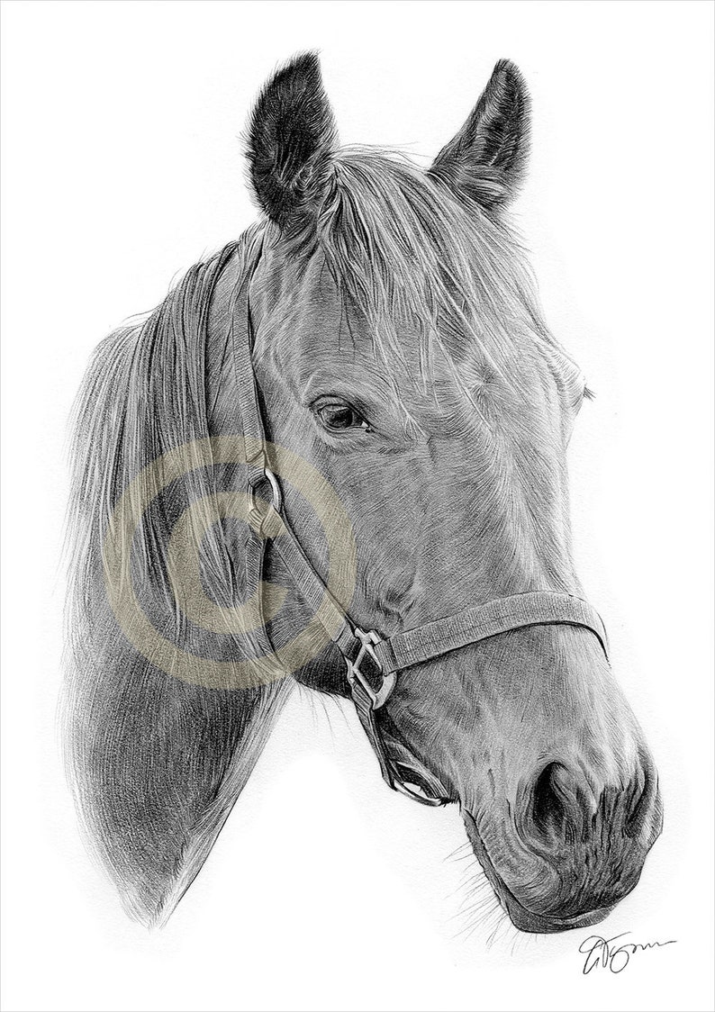 A3 signed by UK artist G.Tymon GIRAFFE pencil drawing art print A4