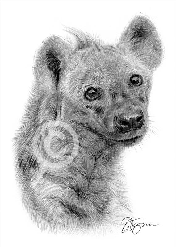 Hyena sketch by lsaart on DeviantArt